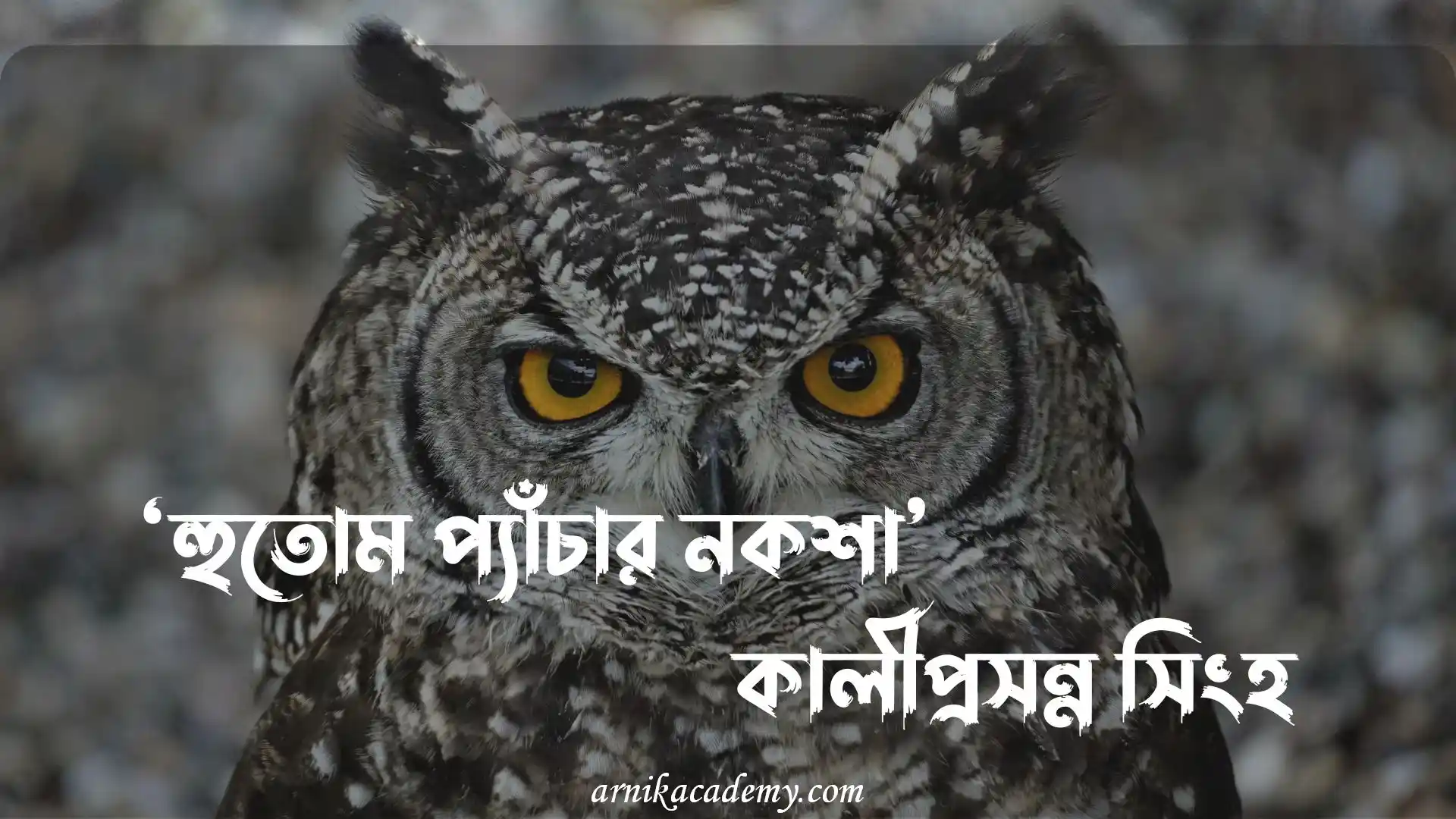 হুতুম