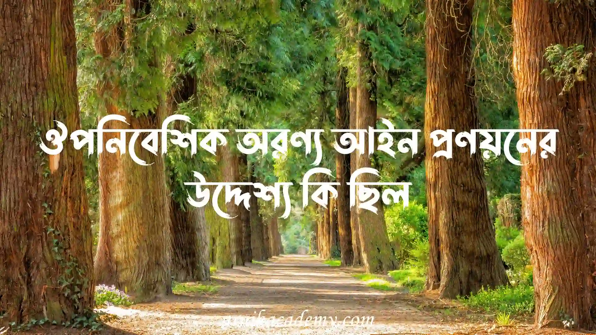অরণ্য আইন